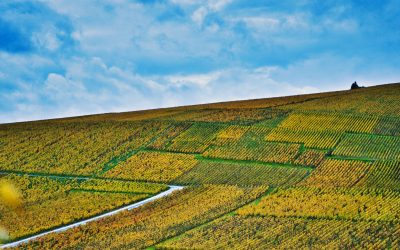 França – Champagne e Borgonha