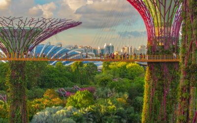 Singapura Vibrante