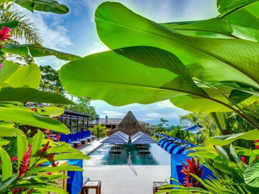 009596-01-NS-Cielito Lindo3-Nayara Springs