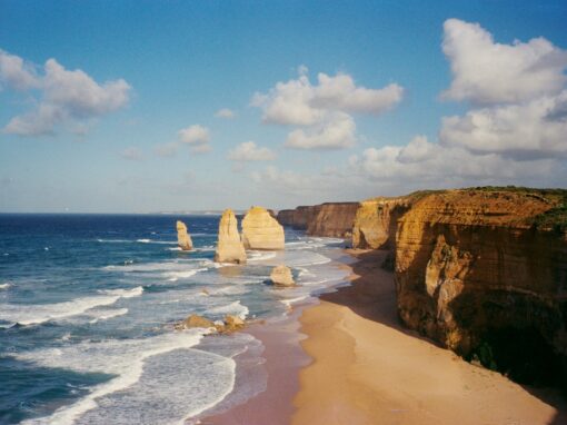 alina-ganova-OEDY2ZxAQI8-unsplash