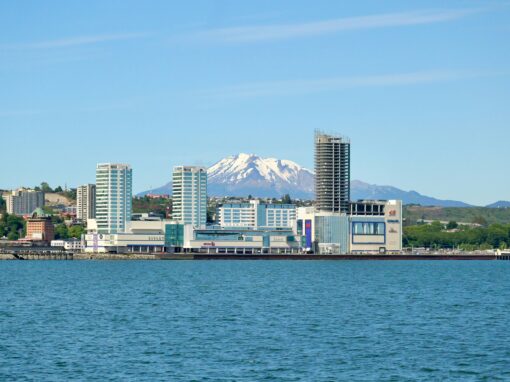 carter-obasohan-cLzDFMkOjPM-unsplash