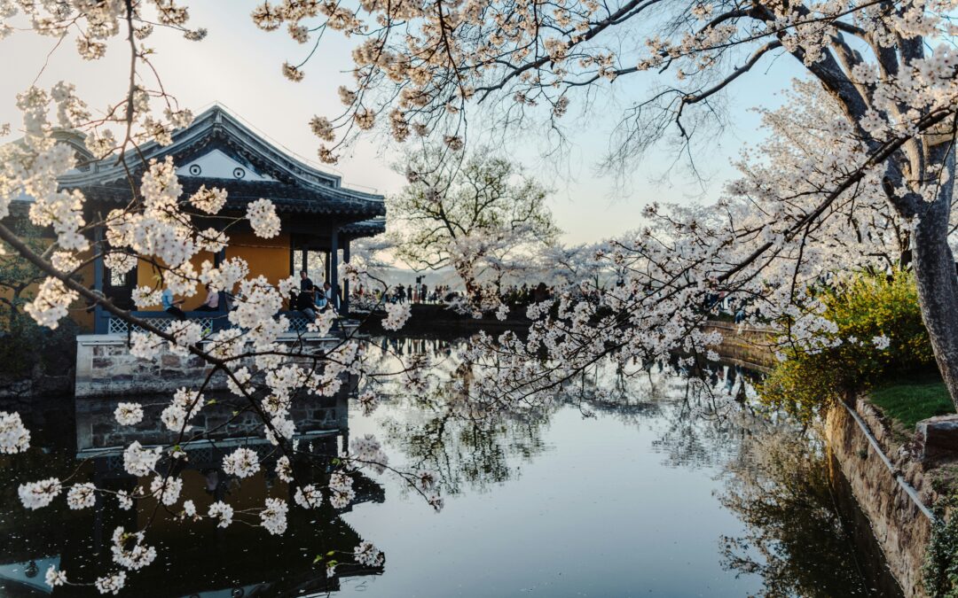 Coreia do Sul: Rota das Pétalas